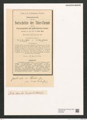 Diatomeae indet. Zeichnungen Sammlung Grunow (NHMW-BOT-W0375396)